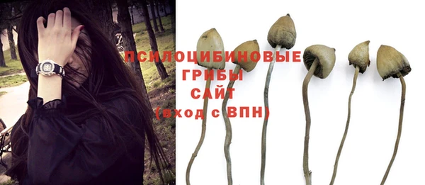 a pvp Фурманов